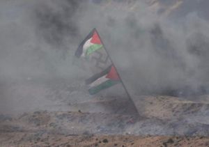 Palestinian-Flag-Swastika-via-IDF-e1523190986693-620x436